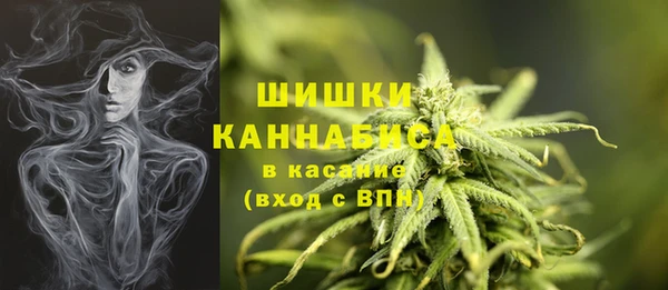 амф Богородицк