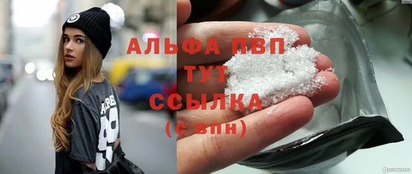 молекула духа Богданович