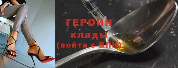 молекула духа Богданович