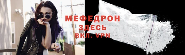 молекула духа Богданович