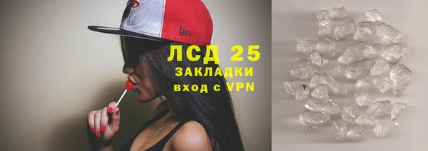 молекула духа Богданович