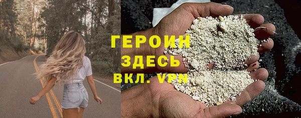 молекула духа Богданович