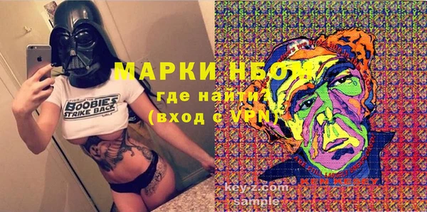 молекула духа Богданович