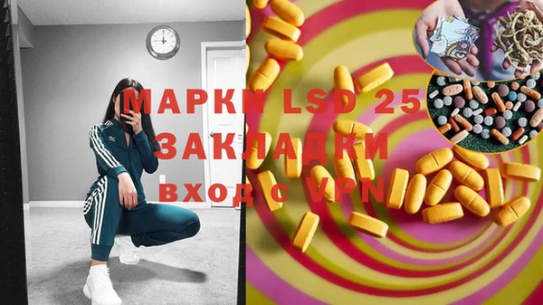 молекула духа Богданович