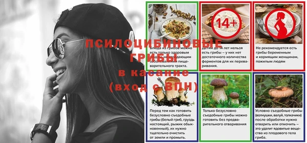 амф Богородск