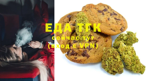молекула духа Богданович
