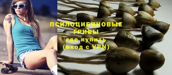 молекула духа Богданович