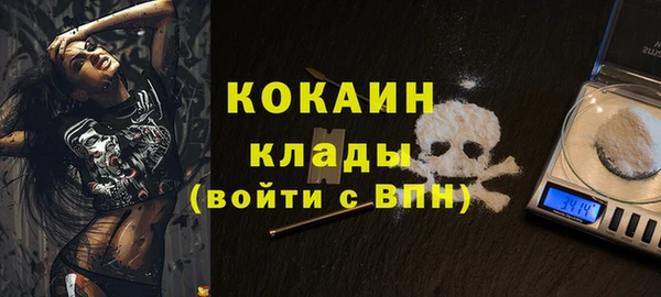 молекула духа Богданович