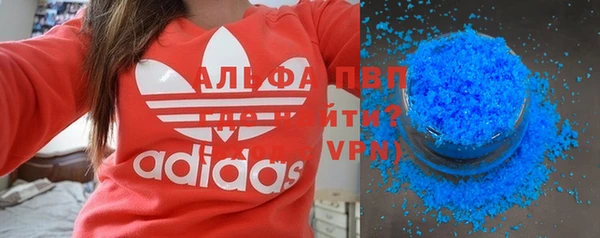 молекула духа Богданович